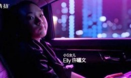 娱乐圈爆料世袭制,揭秘世袭制背后的权力传承秘密